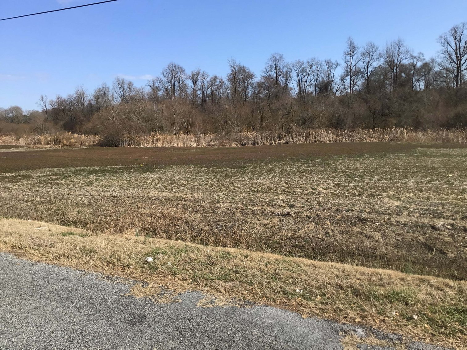 Image for 128 +/- Acres in Duplin County!