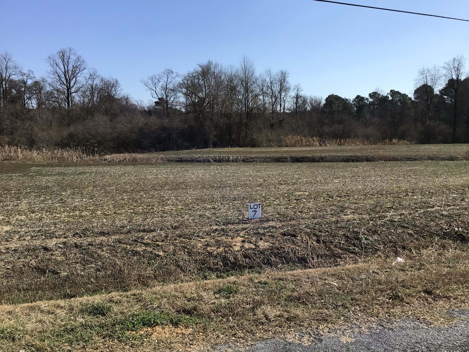 Image for 128 +/- Acres in Duplin County!