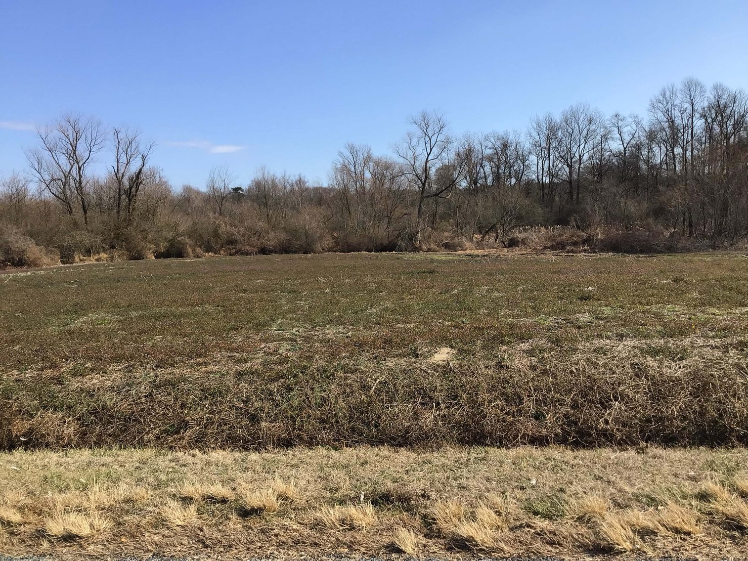 Image for 128 +/- Acres in Duplin County!