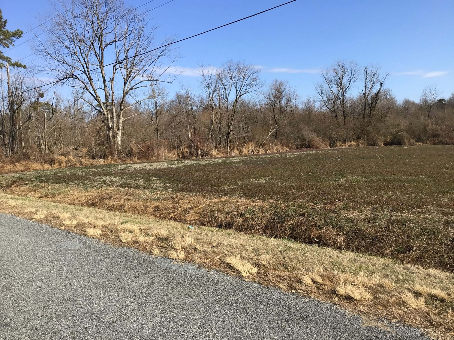 Image for 128 +/- Acres in Duplin County!