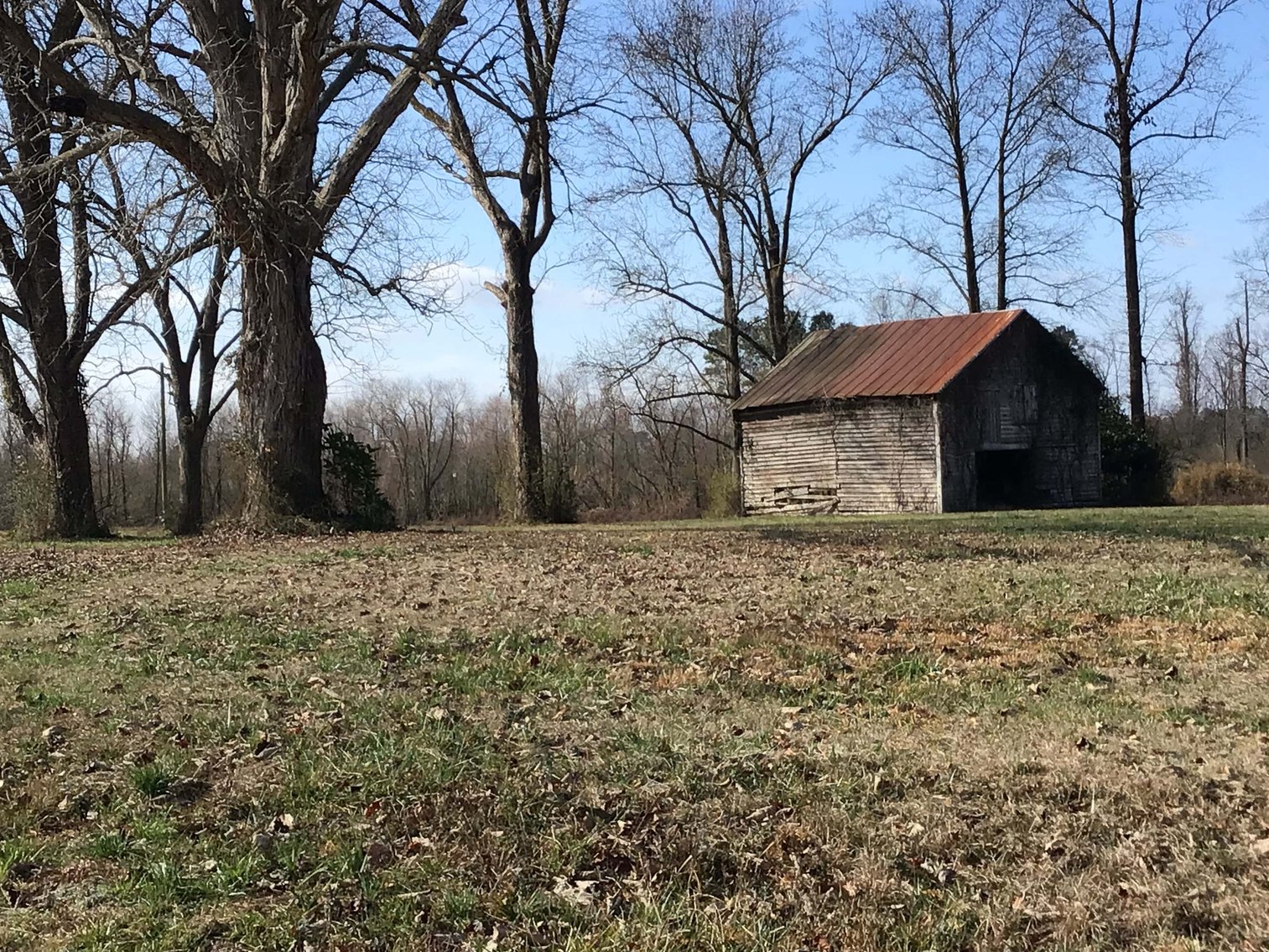 Image for 128 +/- Acres in Duplin County!