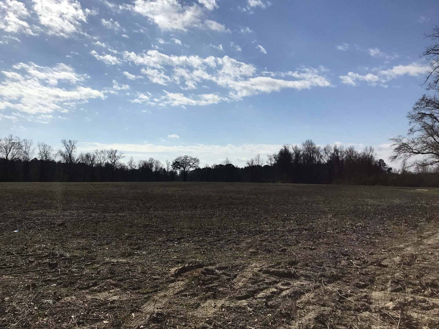 Image for 128 +/- Acres in Duplin County!