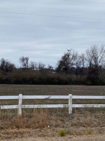 Image for 75+/- Acres in Johnston County Online/Live/Simulcast April Multi-Parcel Auction!