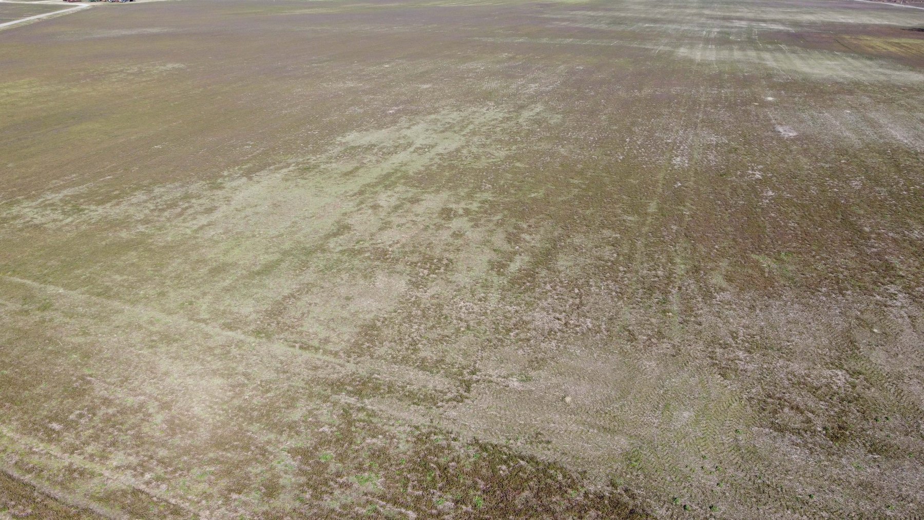 Image for 128 +/- Acres in Duplin County!