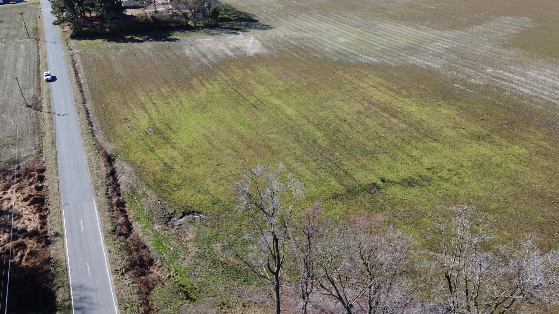 Image for 128 +/- Acres in Duplin County!