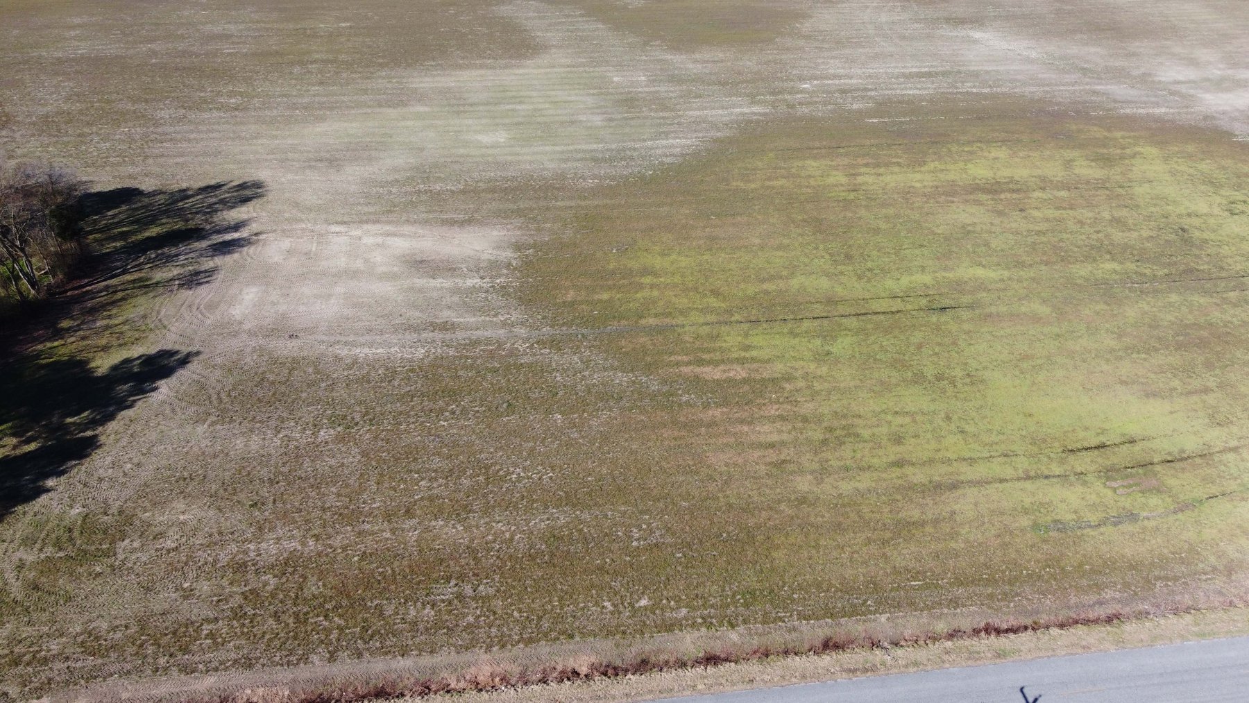 Image for 128 +/- Acres in Duplin County!