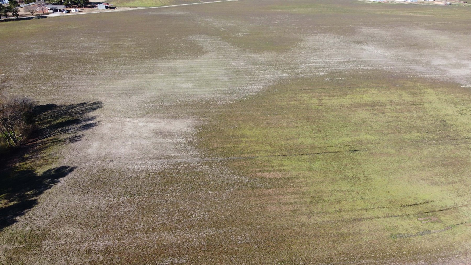 Image for 128 +/- Acres in Duplin County!