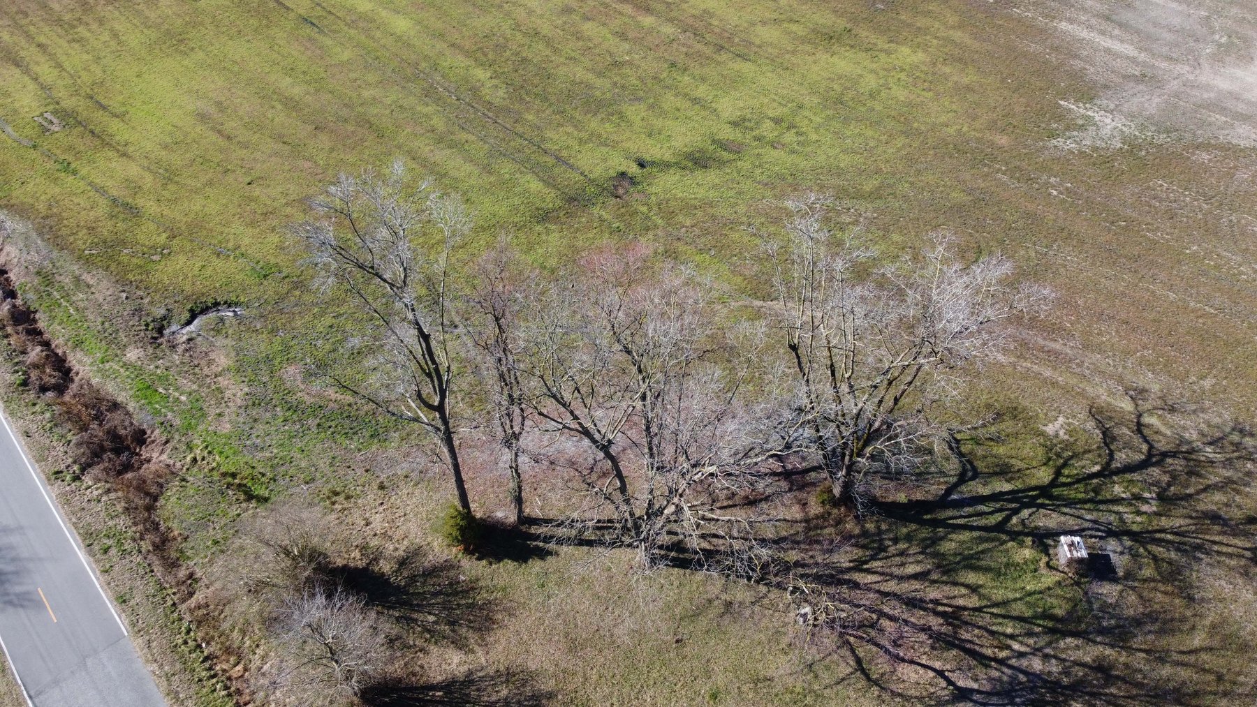 Image for 128 +/- Acres in Duplin County!