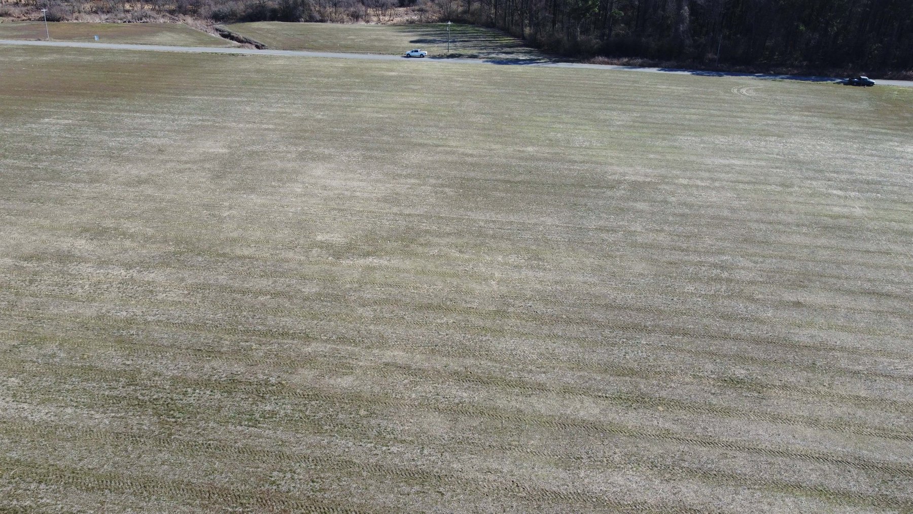 Image for 128 +/- Acres in Duplin County!