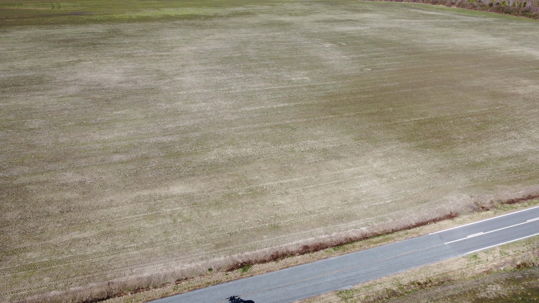 Image for 128 +/- Acres in Duplin County!