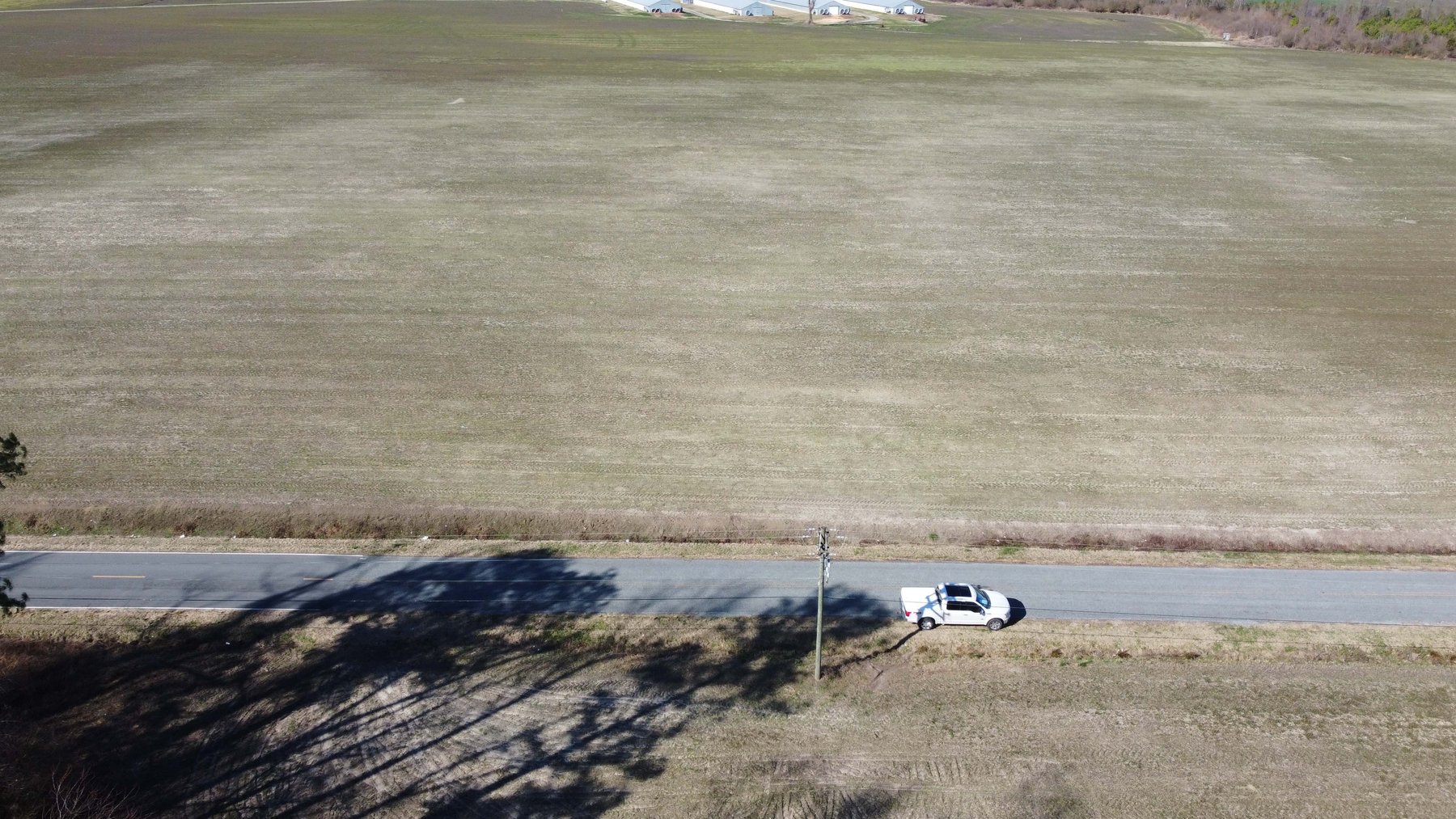 Image for 128 +/- Acres in Duplin County!