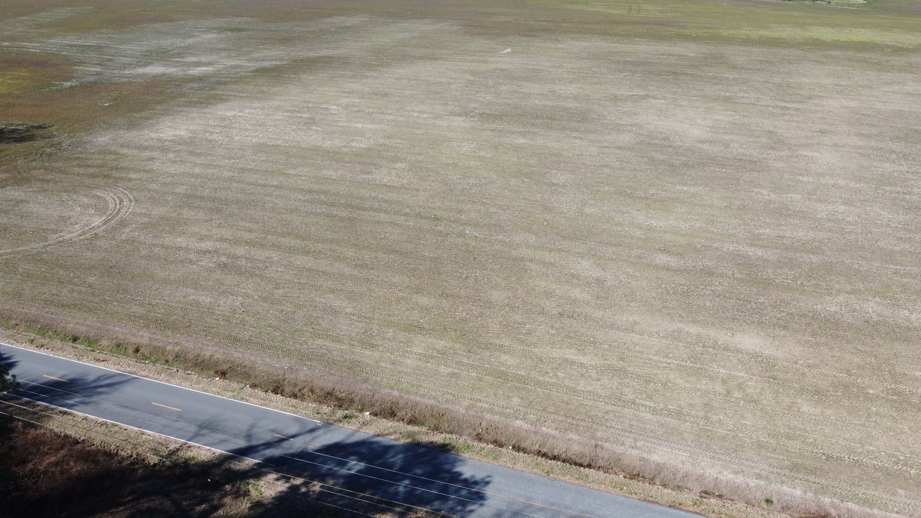 Image for 128 +/- Acres in Duplin County!