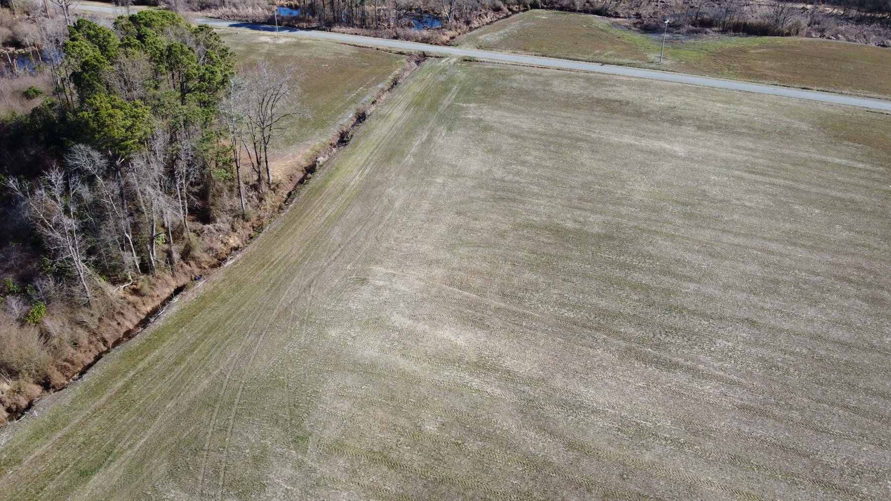 Image for 128 +/- Acres in Duplin County!
