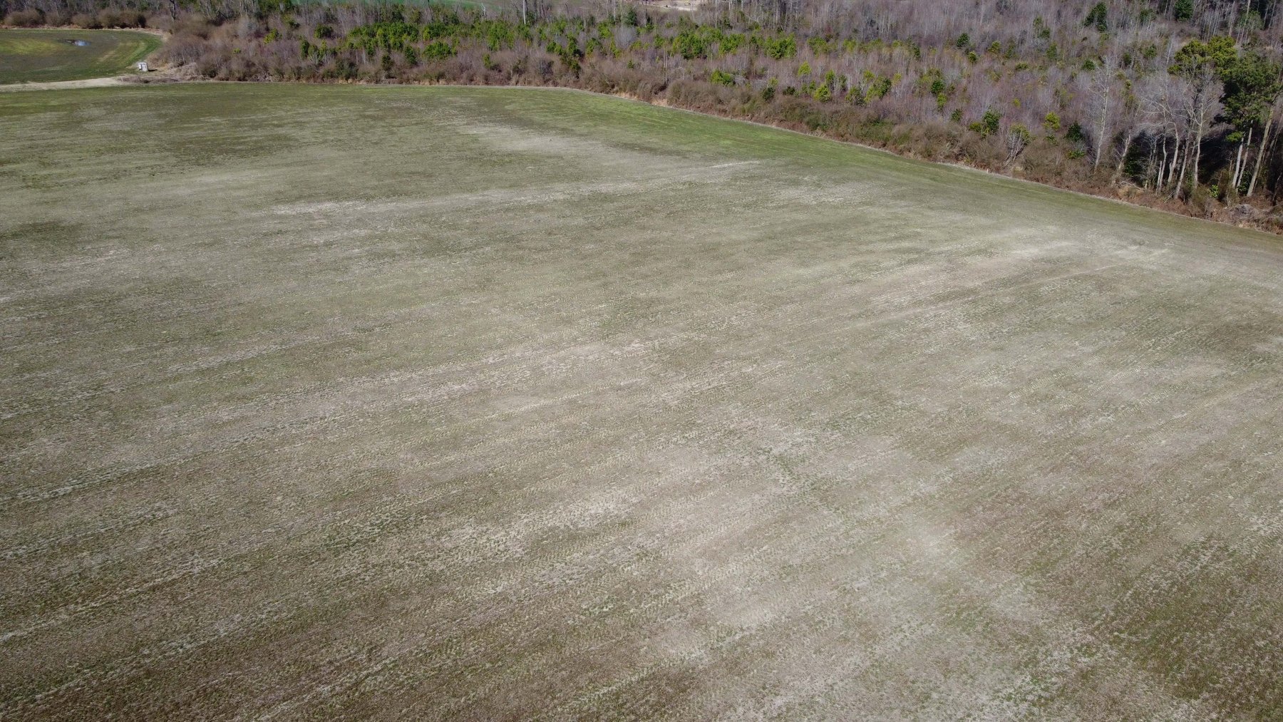 Image for 128 +/- Acres in Duplin County!