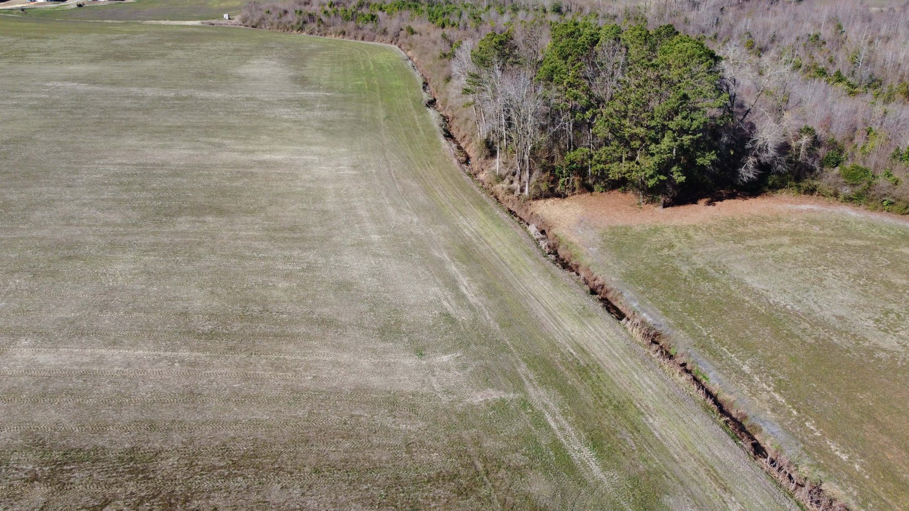 Image for 128 +/- Acres in Duplin County!