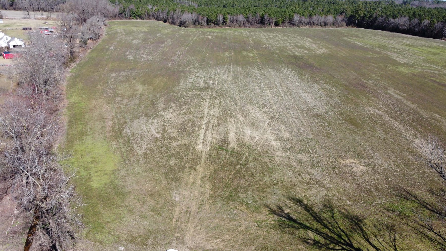 Image for 128 +/- Acres in Duplin County!