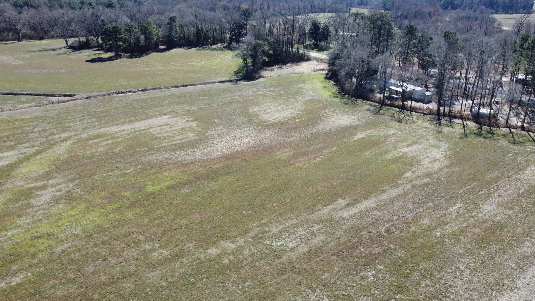 Image for 128 +/- Acres in Duplin County!