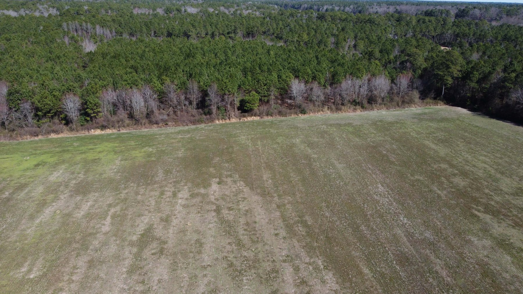 Image for 128 +/- Acres in Duplin County!