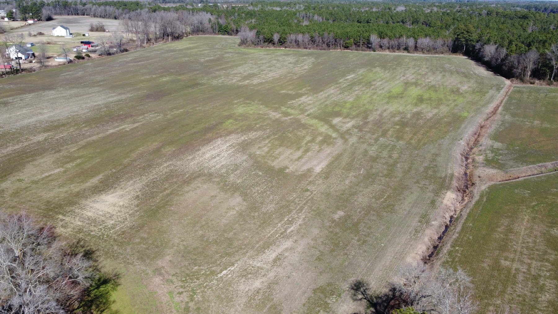 Image for 128 +/- Acres in Duplin County!