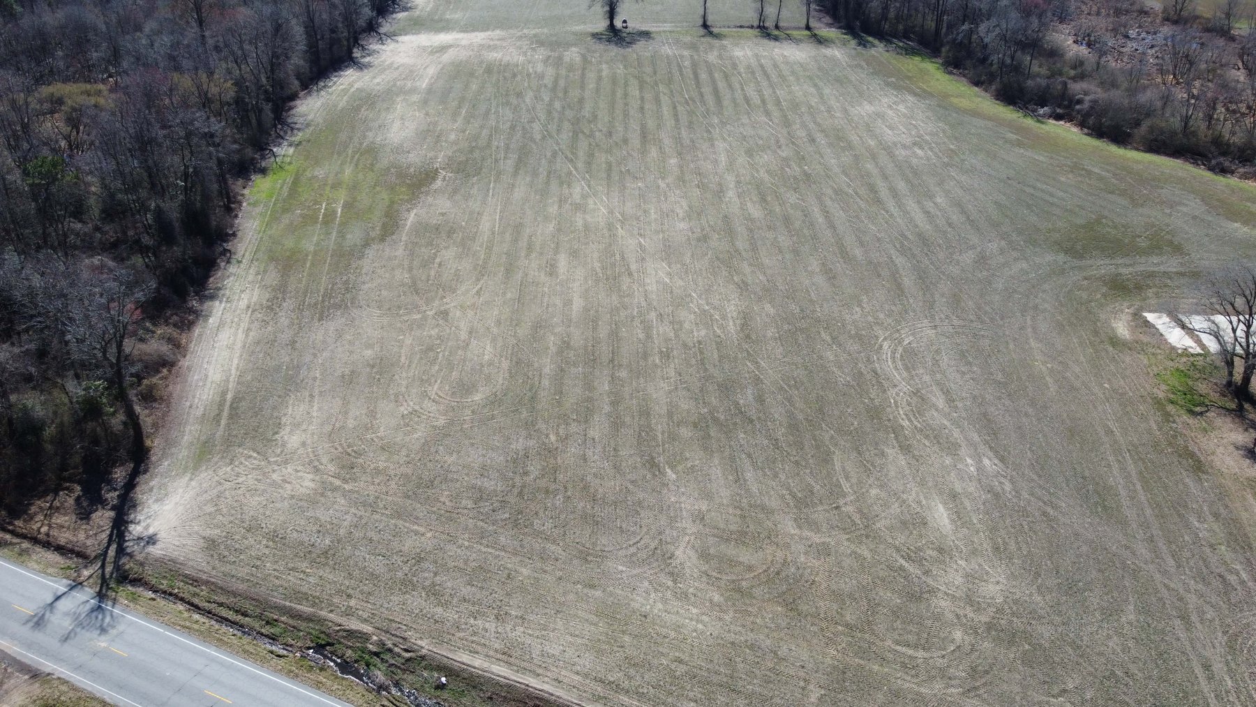 Image for 128 +/- Acres in Duplin County!