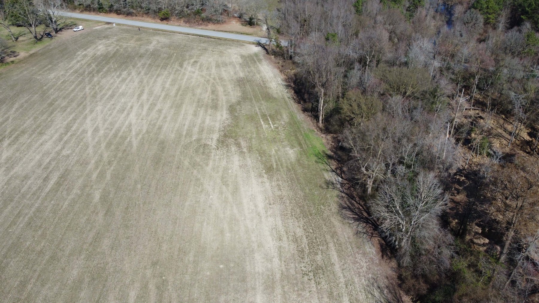 Image for 128 +/- Acres in Duplin County!