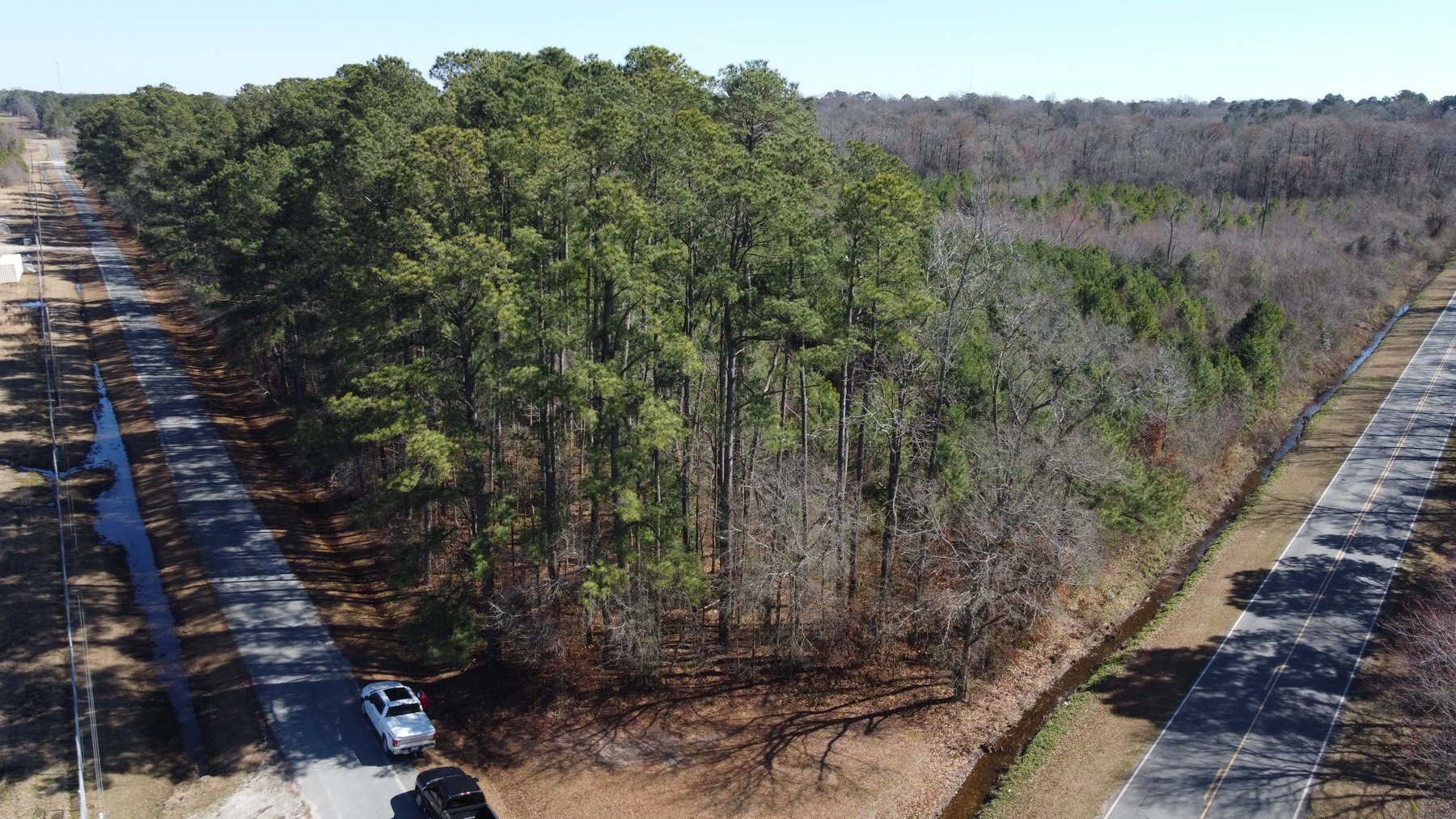 Image for 128 +/- Acres in Duplin County!