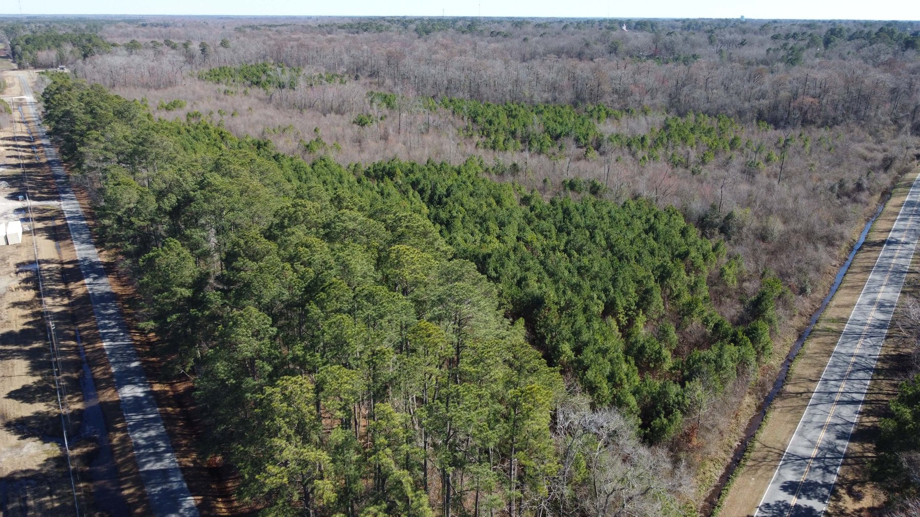 Image for 128 +/- Acres in Duplin County!