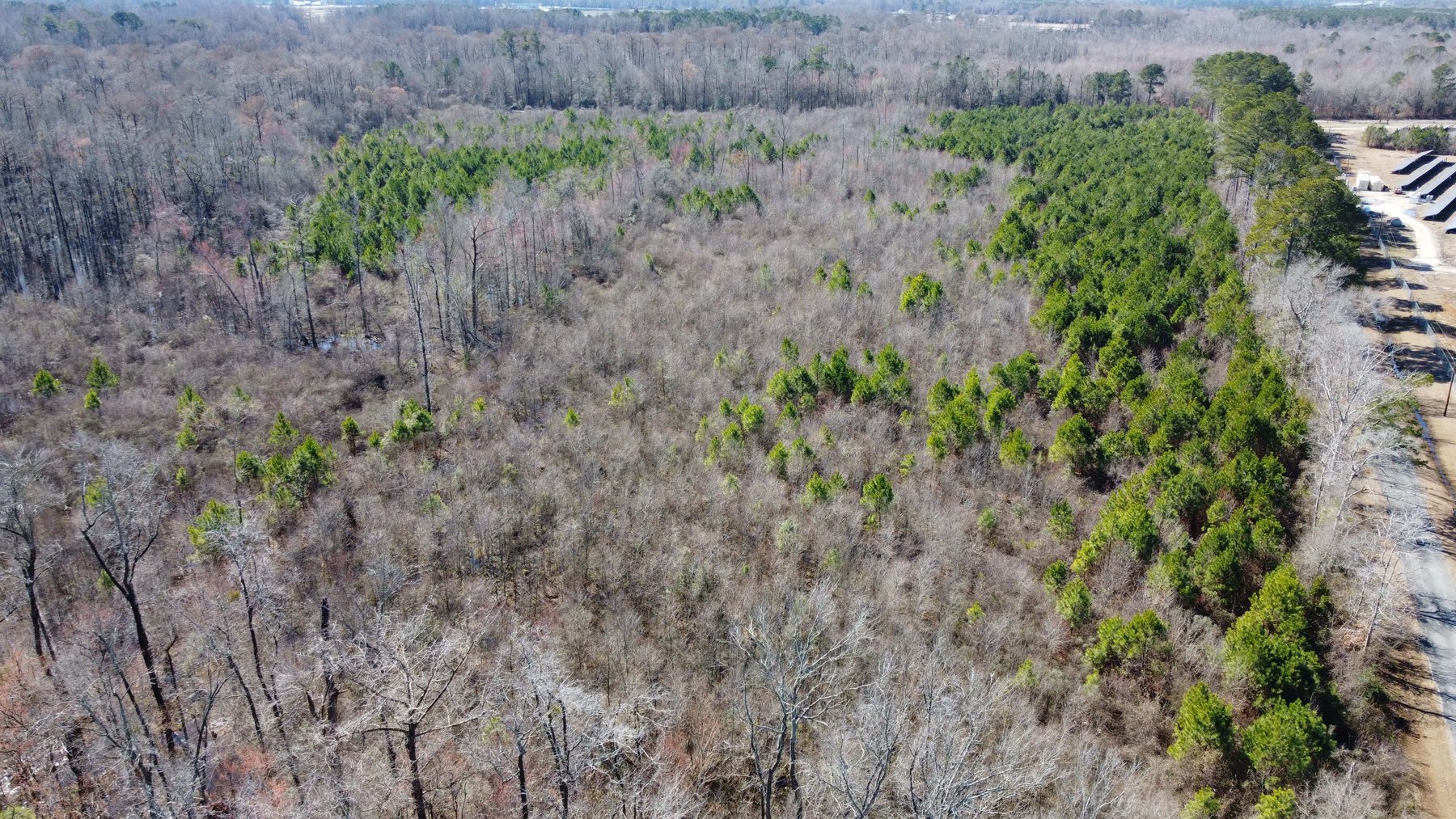 Image for 128 +/- Acres in Duplin County!