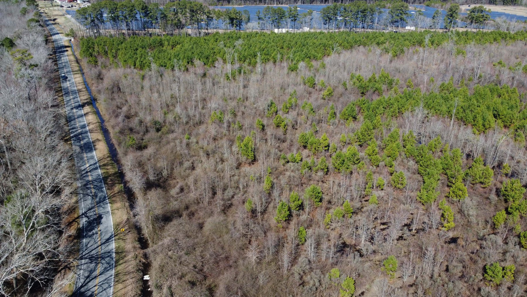 Image for 128 +/- Acres in Duplin County!