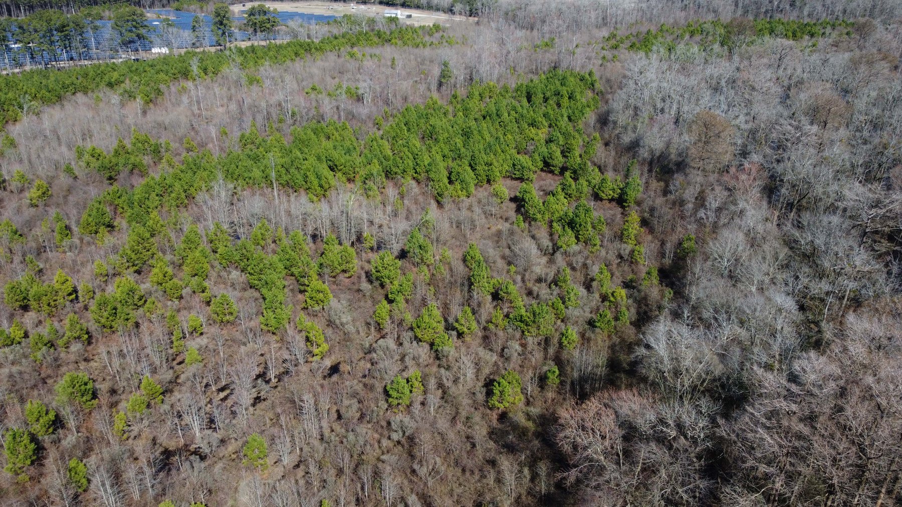 Image for 128 +/- Acres in Duplin County!