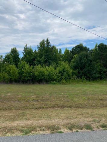Image for Online/Live/Simulcast Auction of Two Homesites in Harnett County included in the April Multi-Parcel Auction Event!