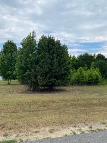 Image for Online/Live/Simulcast Auction of Two Homesites in Harnett County included in the April Multi-Parcel Auction Event!