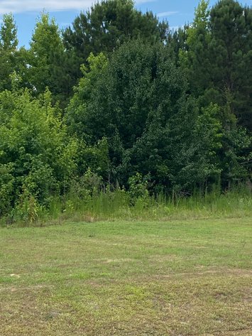 Image for Online/Live/Simulcast Auction of Two Homesites in Harnett County included in the April Multi-Parcel Auction Event!