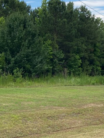 Image for Online/Live/Simulcast Auction of Two Homesites in Harnett County included in the April Multi-Parcel Auction Event!