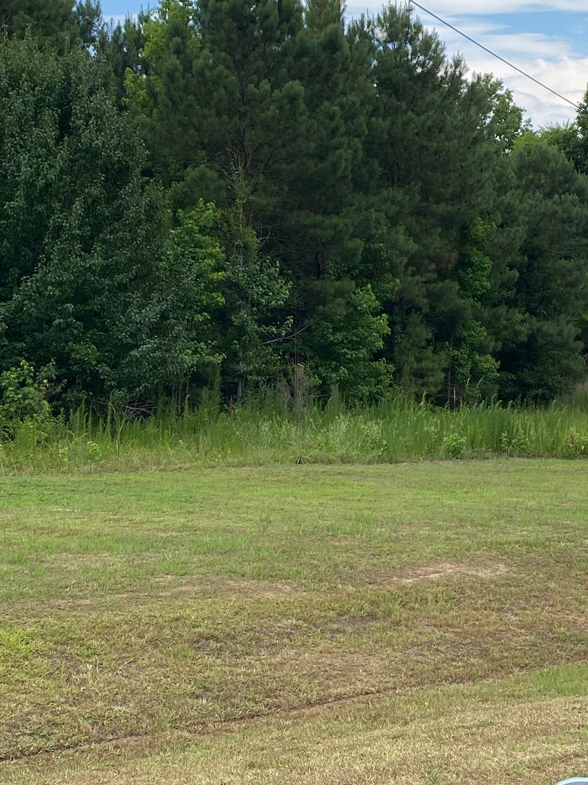 Image for Online/Live/Simulcast Auction of Two Homesites in Harnett County included in the April Multi-Parcel Auction Event!