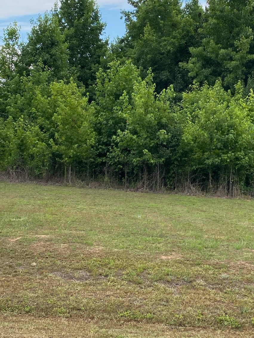 Image for Online/Live/Simulcast Auction of Two Homesites in Harnett County included in the April Multi-Parcel Auction Event!