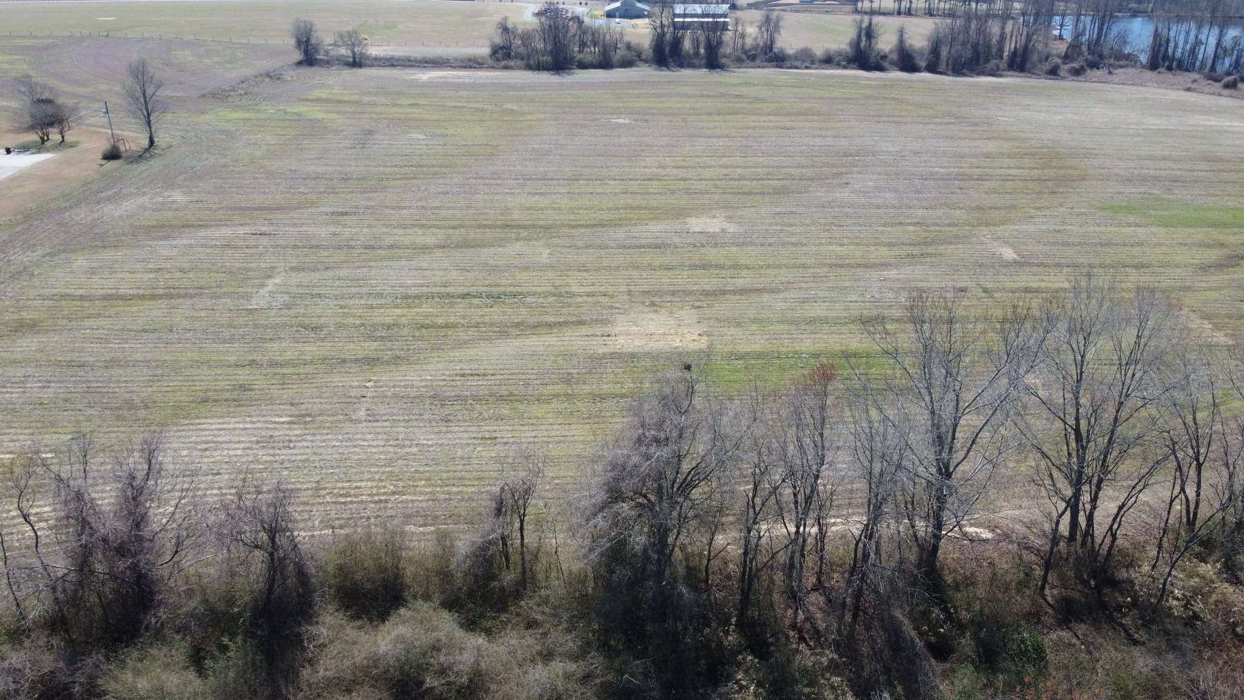 Image for 75+/- Acres in Johnston County Online/Live/Simulcast April Multi-Parcel Auction!