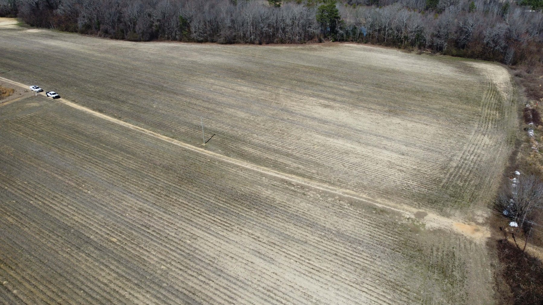 Image for 25+/- Acres off NC 50 Johnston County included in the April Multi-Parcel Auction!