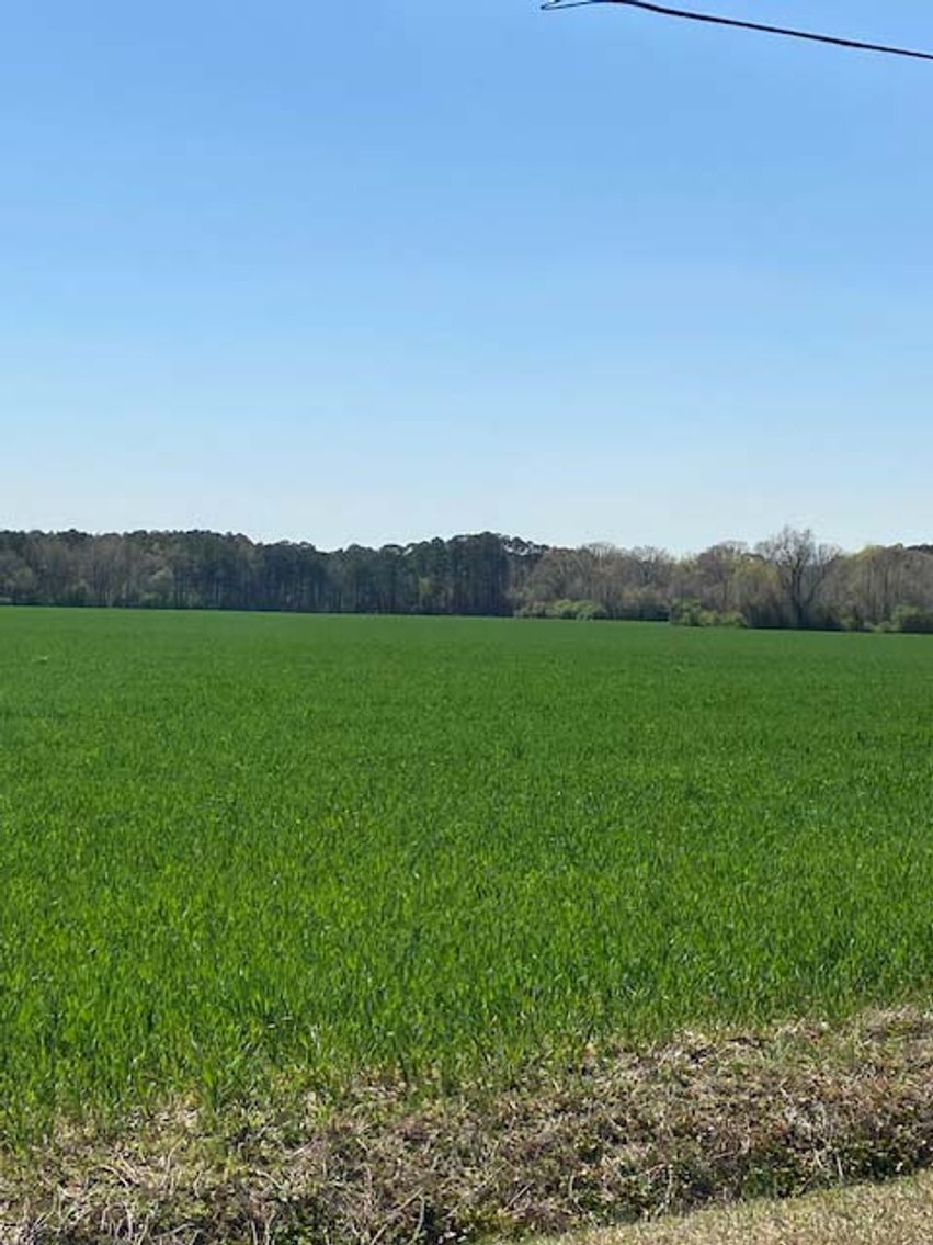 Image for Two Gorgeous Farms in Cumberland County with a Total of 193.27 Acres