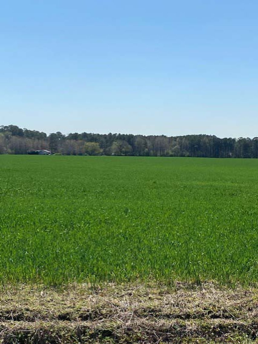 Image for Two Gorgeous Farms in Cumberland County with a Total of 193.27 Acres