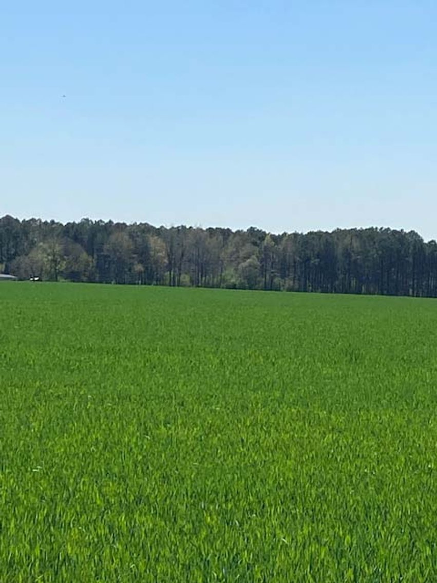 Image for Two Gorgeous Farms in Cumberland County with a Total of 193.27 Acres