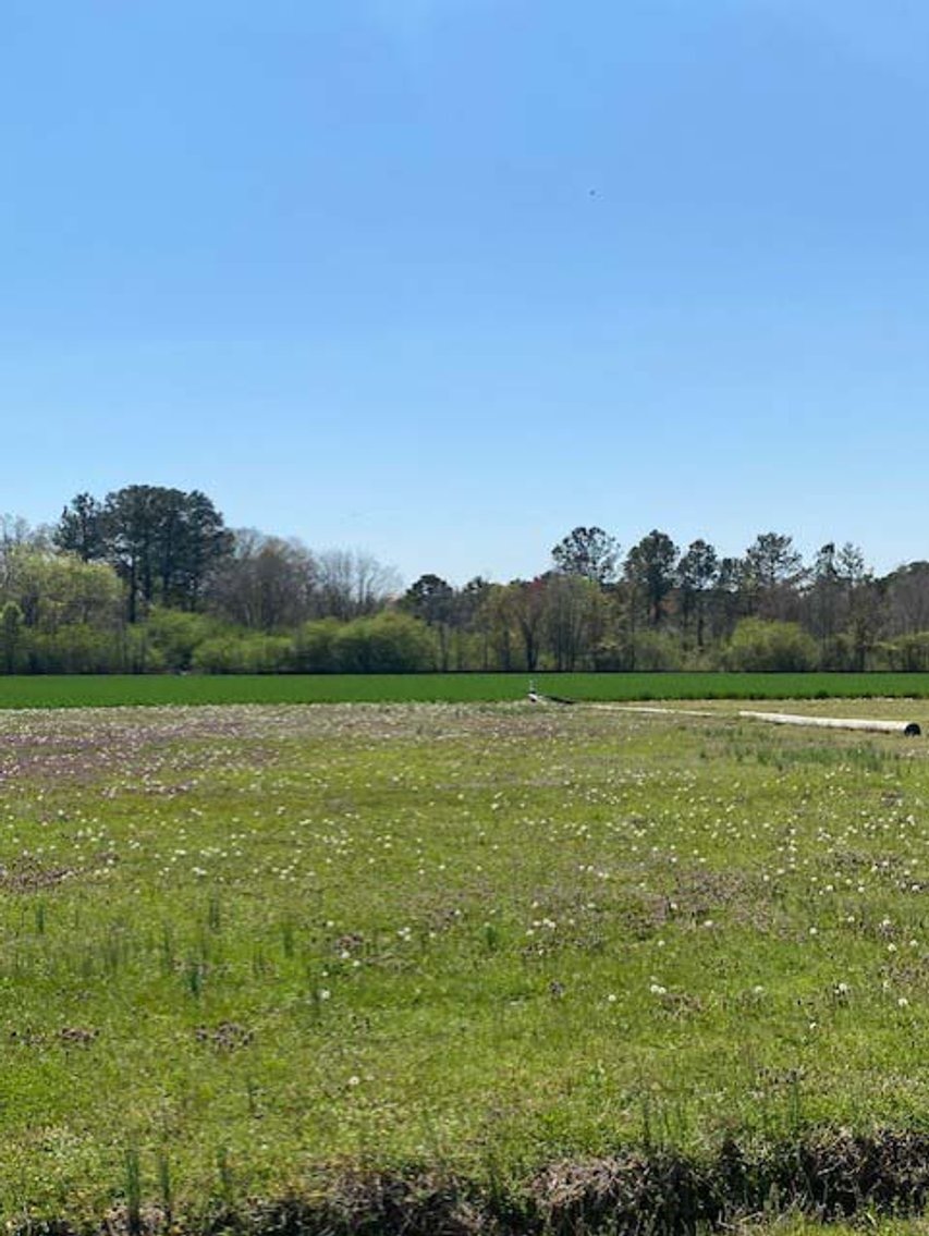 Image for Two Gorgeous Farms in Cumberland County with a Total of 193.27 Acres