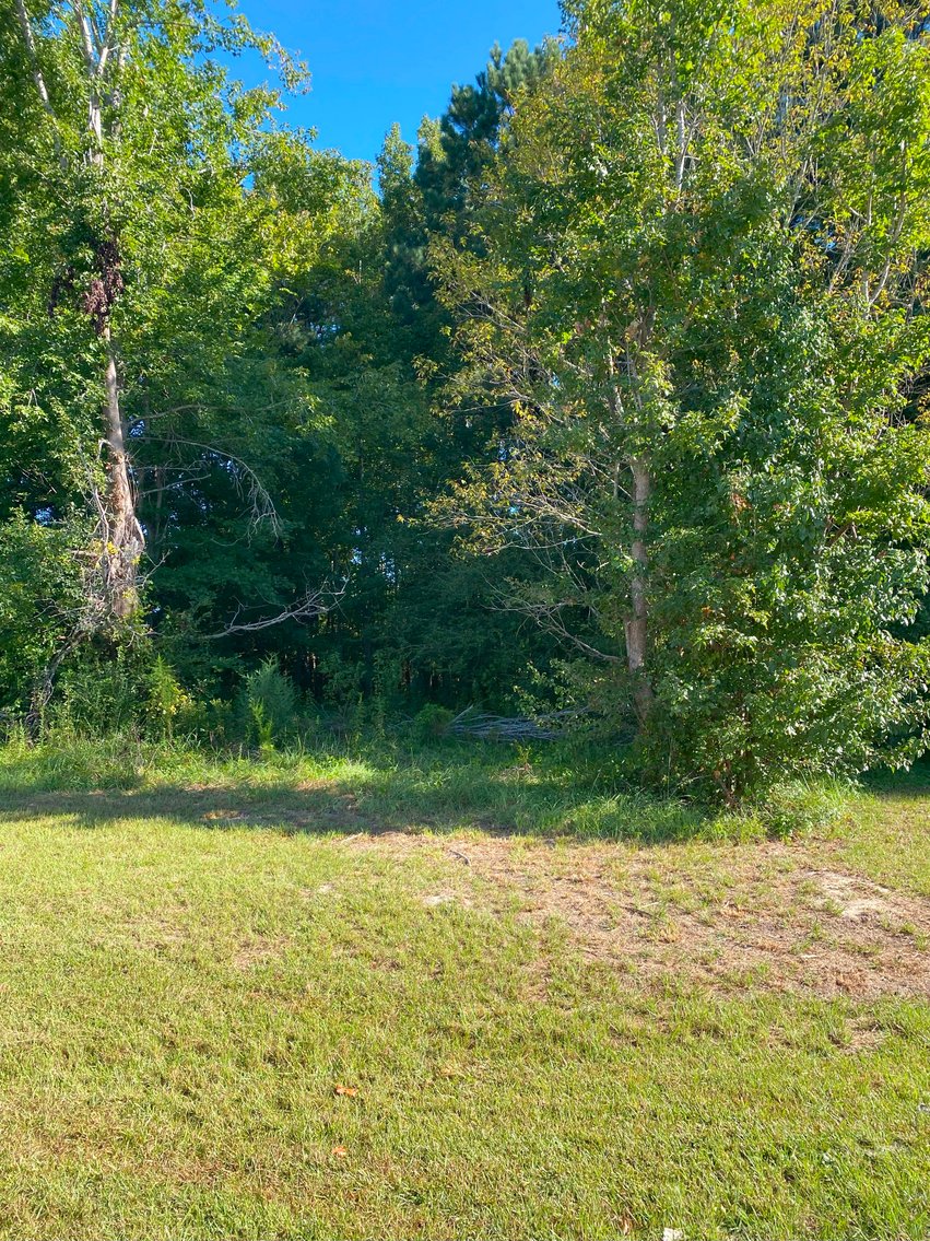 Image for Almost 2 Acres off of Atkins Road in Harnett County!