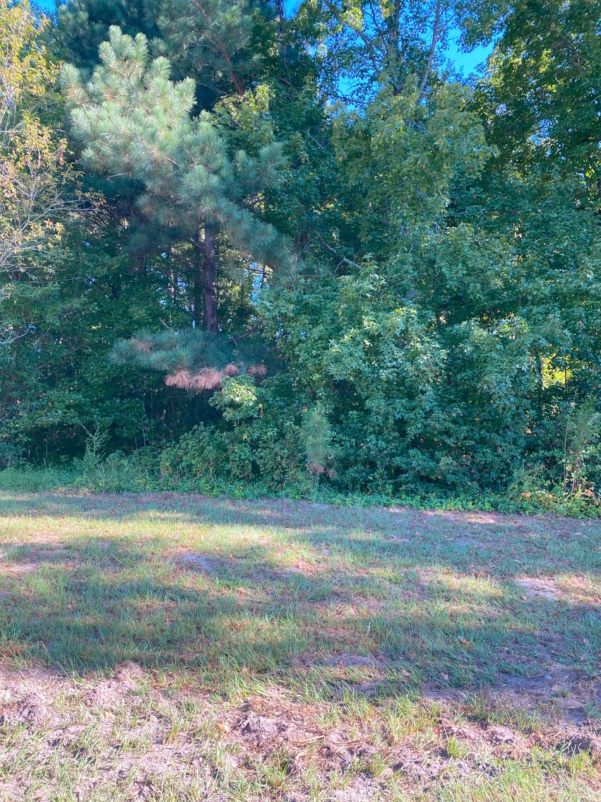 Image for Almost 2 Acres off of Atkins Road in Harnett County!