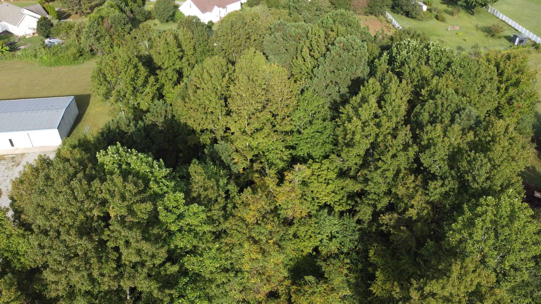 Image for Almost 2 Acres off of Atkins Road in Harnett County!