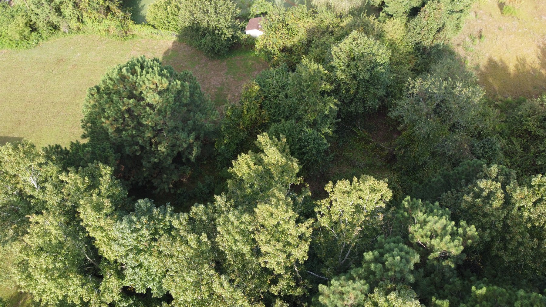 Image for Almost 2 Acres off of Atkins Road in Harnett County!