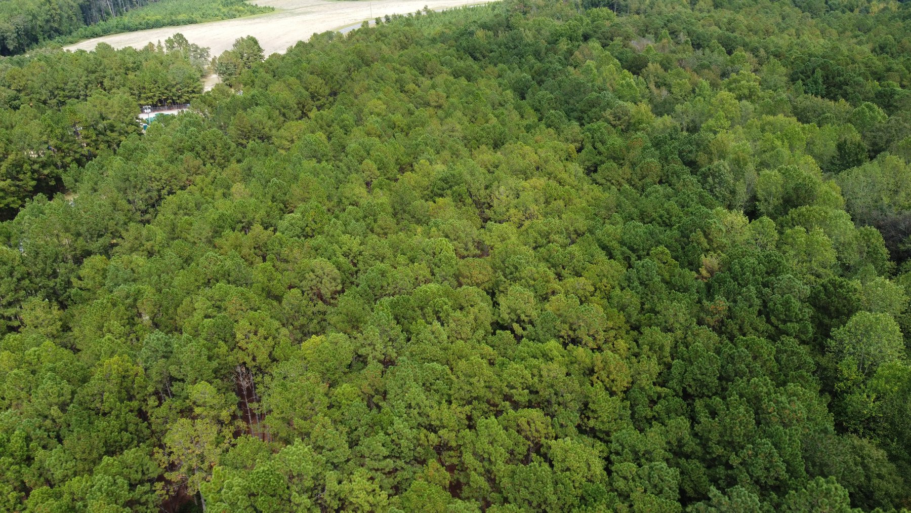 Image for Approx. 300 Acres Divided into 4 tracts and a Home in Harnett County!