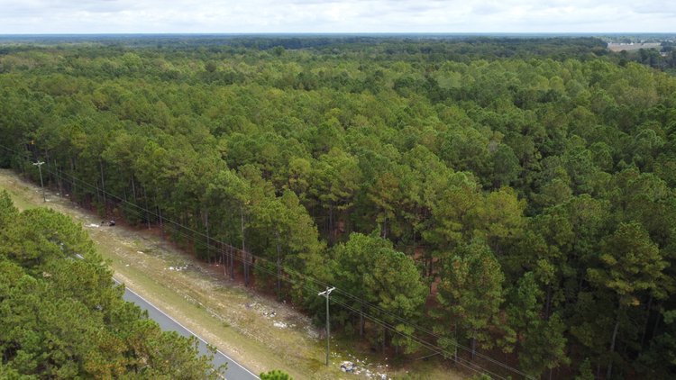 Image for Approx. 300 Acres Divided into 4 tracts and a Home in Harnett County!