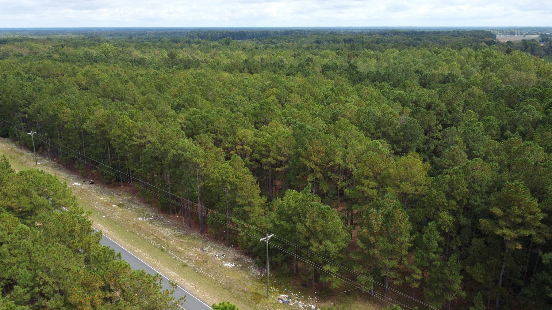 Image for Approx. 300 Acres Divided into 4 tracts and a Home in Harnett County!