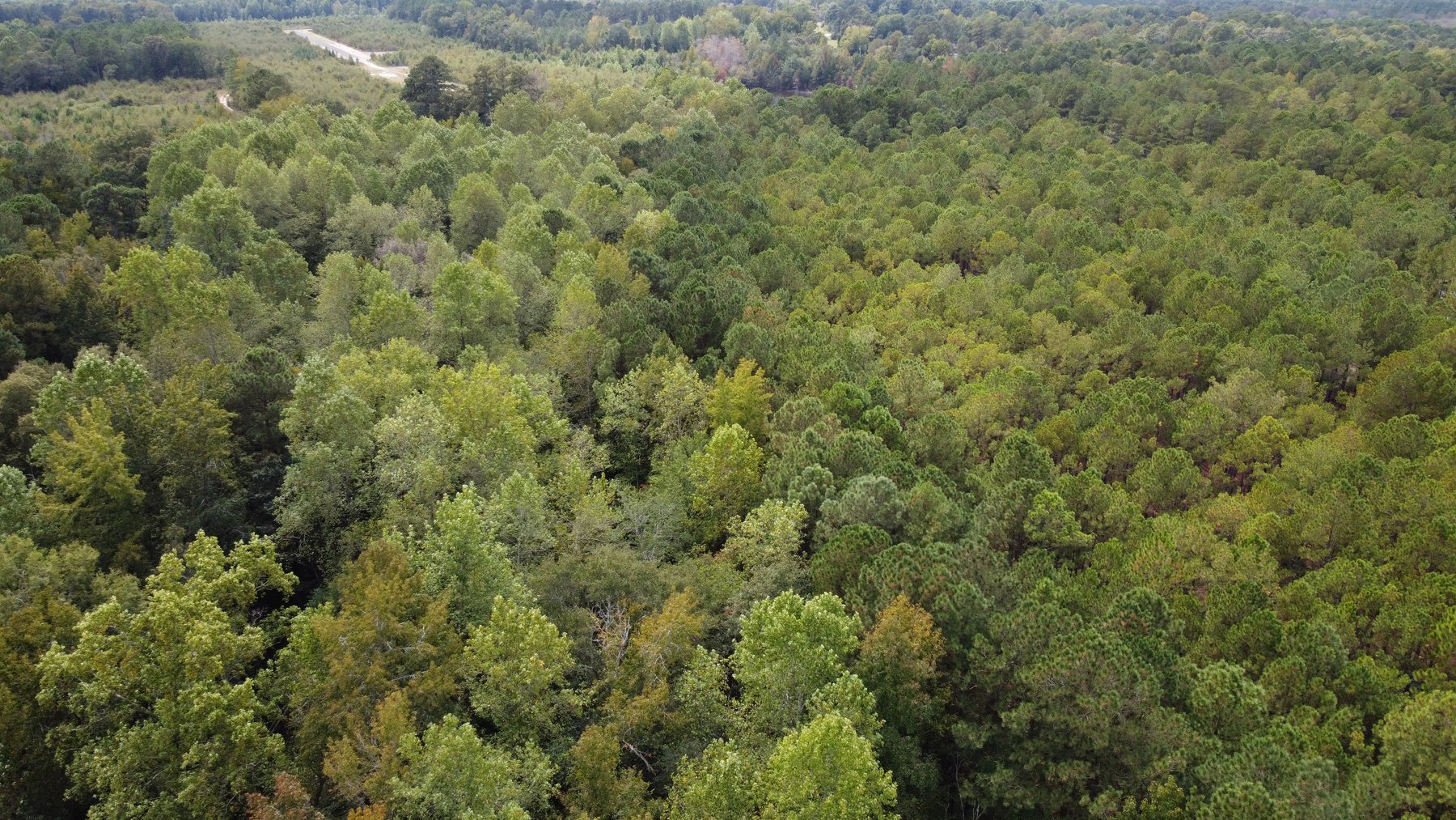 Image for Approx. 300 Acres Divided into 4 tracts and a Home in Harnett County!